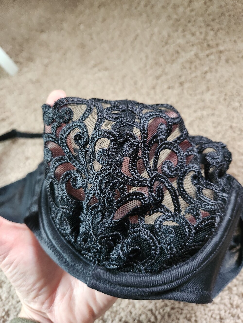 Victorias Secret Push Up Bra Black Embroidered Sheer 34c